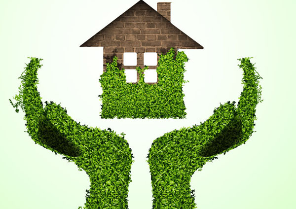 硅藻泥“火”了就憑這三點(diǎn)！